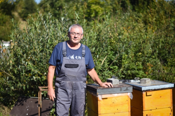 Reportáž o tradičnom včelárení: Med kedysi vytláčali holými rukami a choroby včiel nepoznali