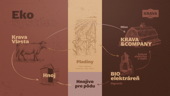 Bez GMO, chémie či utrpenia zvierat: Ako funguje farmárčenie v Krava&Company?