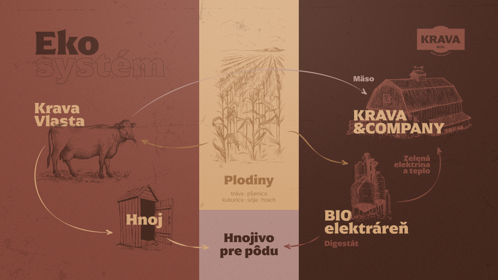 Bez GMO, chémie či utrpenia zvierat: Ako funguje farmárčenie v Krava&Company?