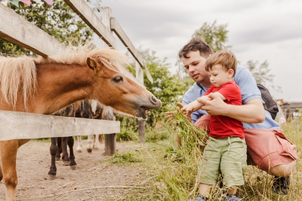 Ako naučiť deti viac o zvieratách a ich chove? Urobte si výlet na niektoré z týchto úžasných miest