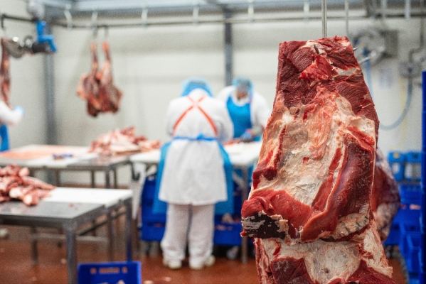 Ako sa robí mäso svetovej kvality? Dokonalú chuť dosiahnete suchým zrením